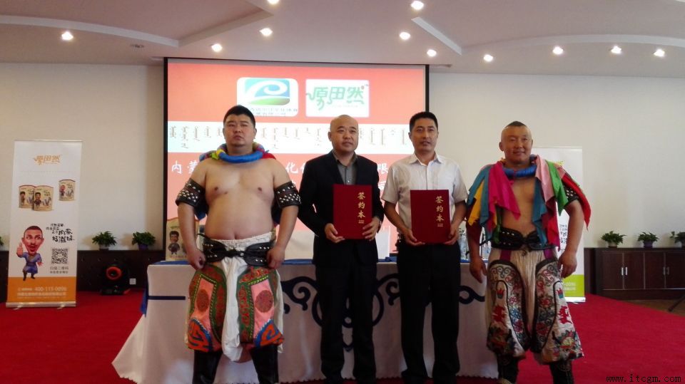 ���ɹ�����