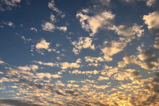 ���ɹ�����Ԥ��һ��