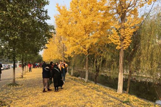 ���ɹ�����Ԥ��һ��