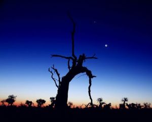 ���ɹ�����5A�������������ɹ�5A�������������ͼƬ