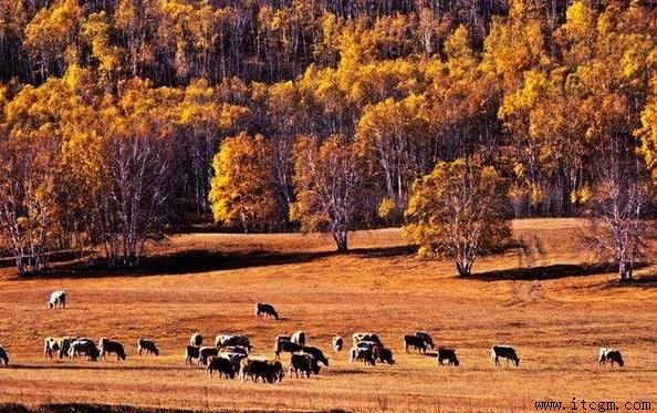 内蒙古旅行景点
