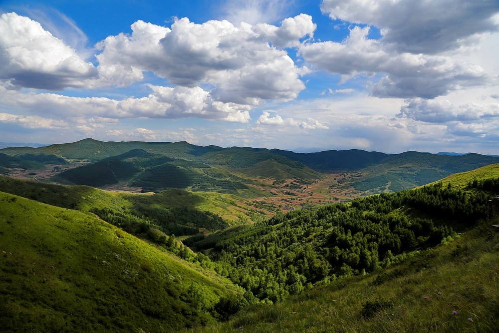 ���ɹž������а�