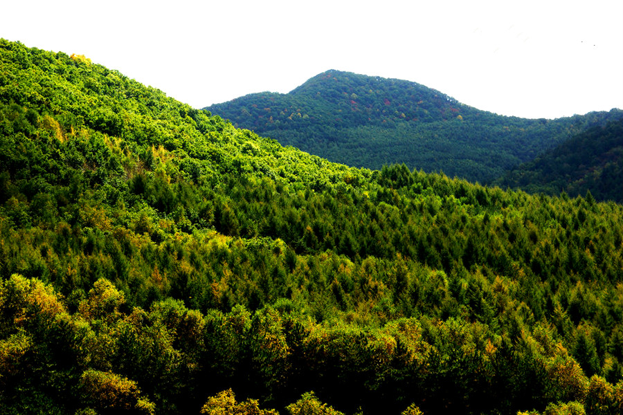 ���ɹž������а�