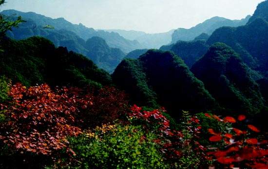 ���ɹž������а�