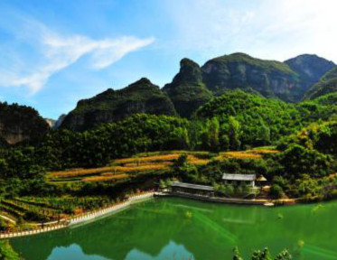 ���ɹž������а�