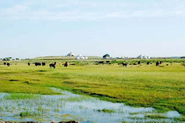 ���ɹź���ĵط�