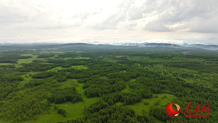 �������ɹ�ح�����¸�ͷ�����Σ��Ҹ�����ó