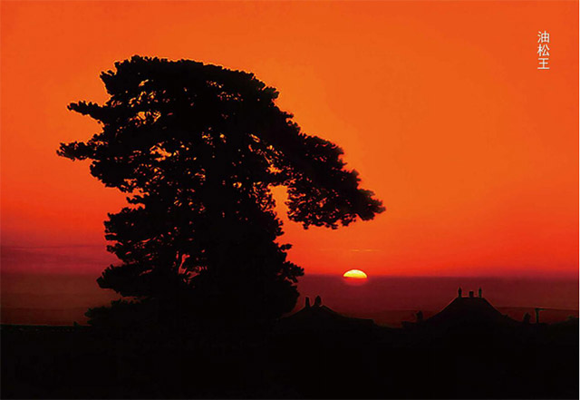 内蒙古好玩的地方