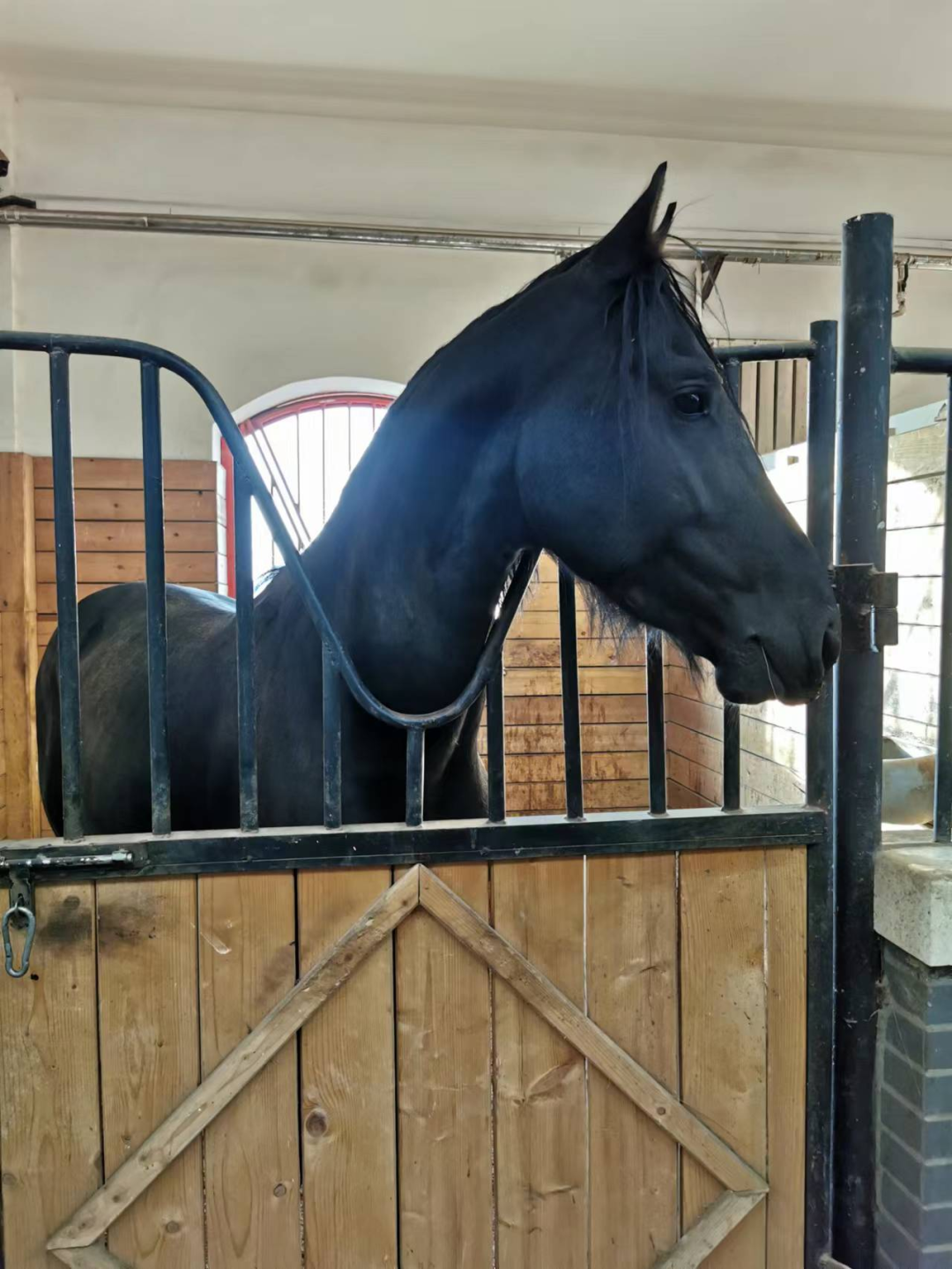 ���ɹž������