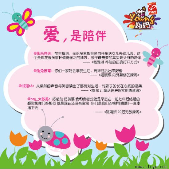 ���ɹ�����