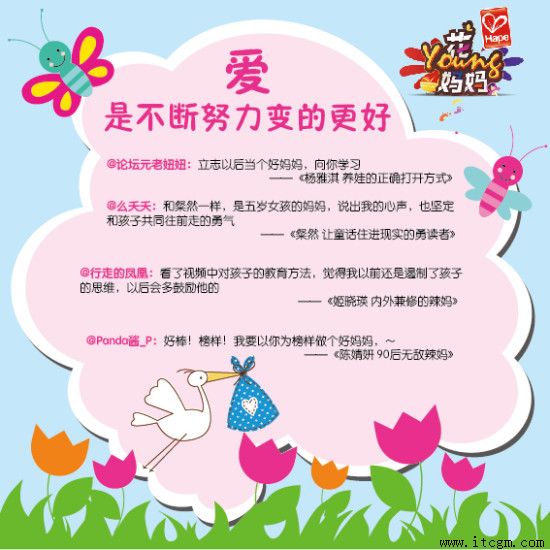 ���ɹ�����