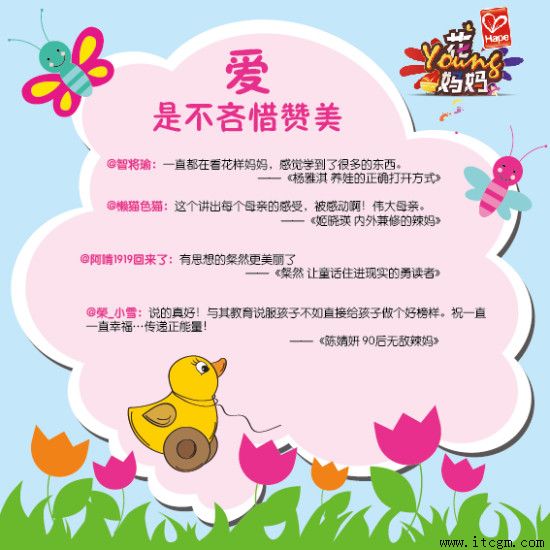 ���ɹ�����