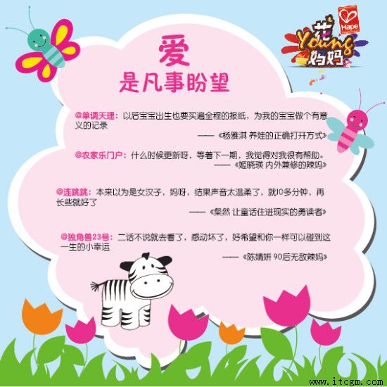 ���ɹ�����