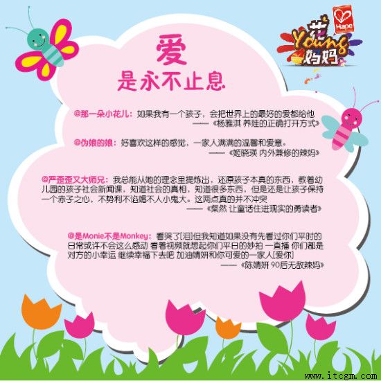 ���ɹ�����