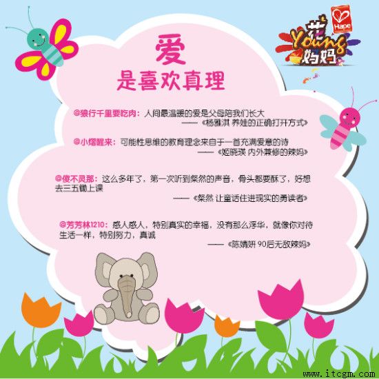 ���ɹ�����