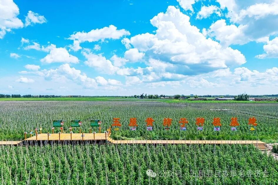 л干ͬʶԭӵġۡ·Ž˶